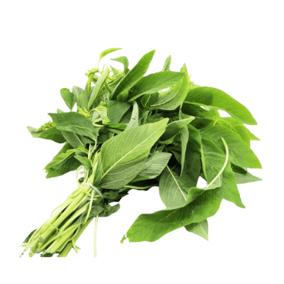 BITEKU TEKU / FOLON FRAIS