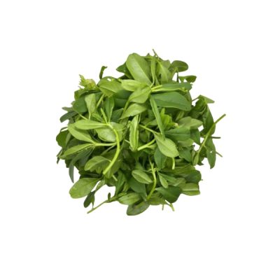 WATERLEAVES