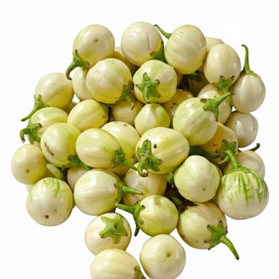 AUBERGINE D'AFRIQUE/DJAKATO